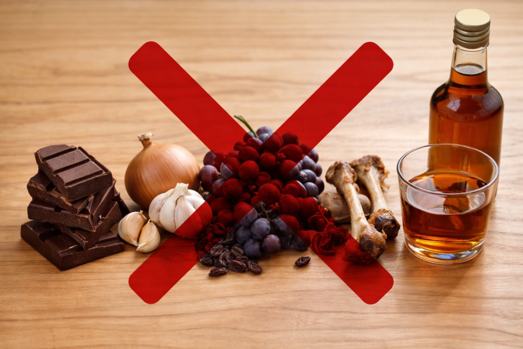 alimentos proibidos para pets como chocolate cebola e uvas