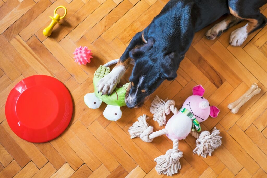 brinquedos para pets que estimulam corpo e mente