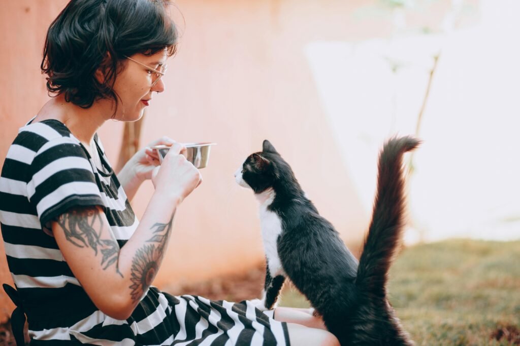 saúde de cães e gatos com cuidado preventivo em casa
