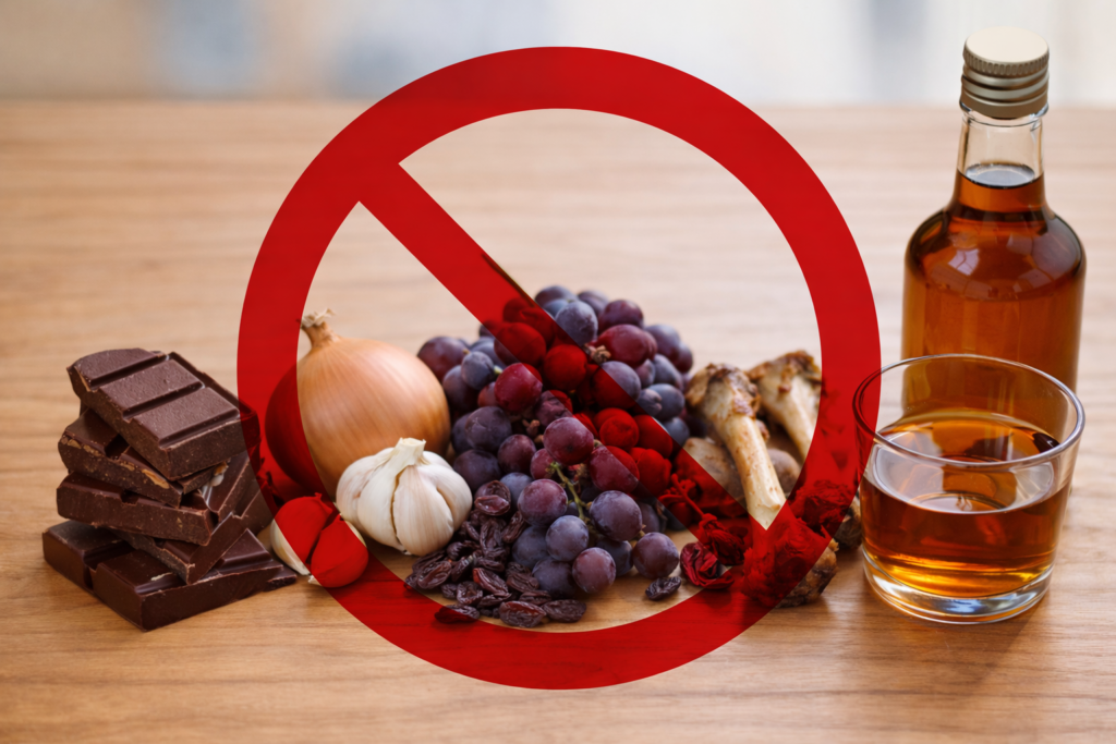 alimentos proibidos para cães e gatos sobre bancada