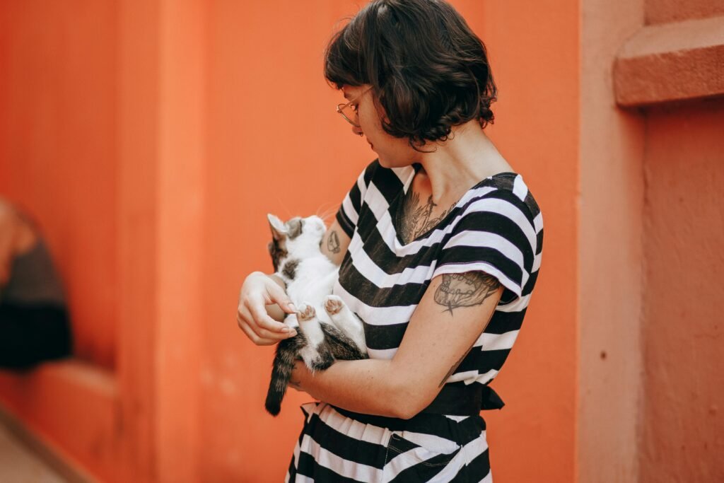 barriga inchada em cães e gatos sendo observada pelo tutor