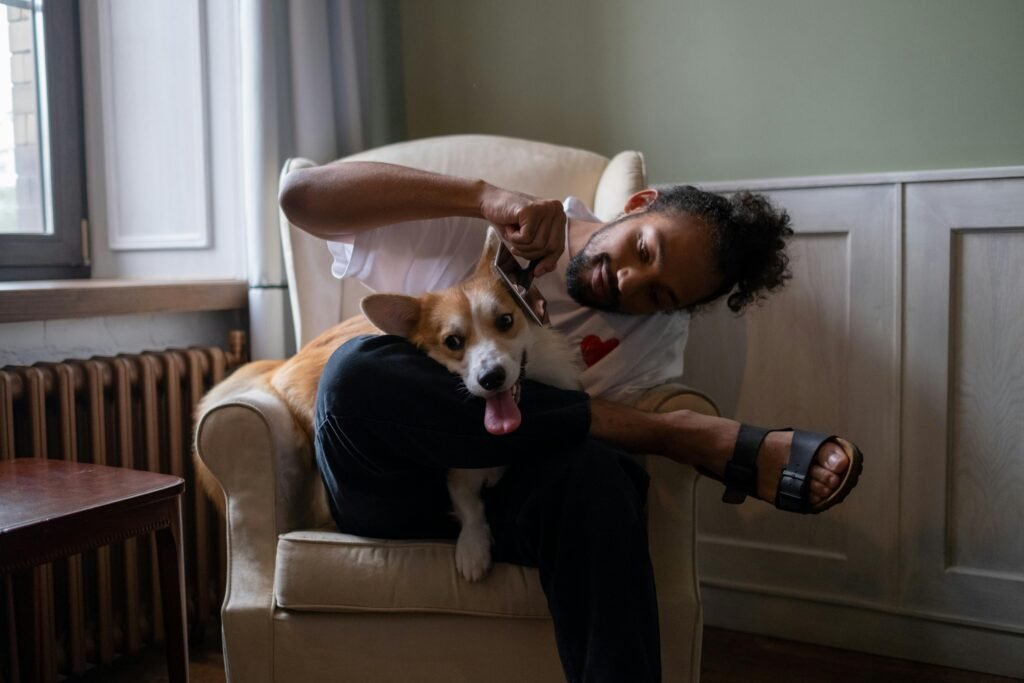 cuidados com pele e pelagem dos pets