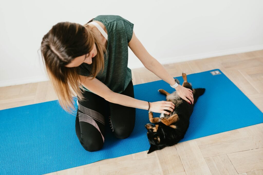 Como observar barriga inchada em pet em casa