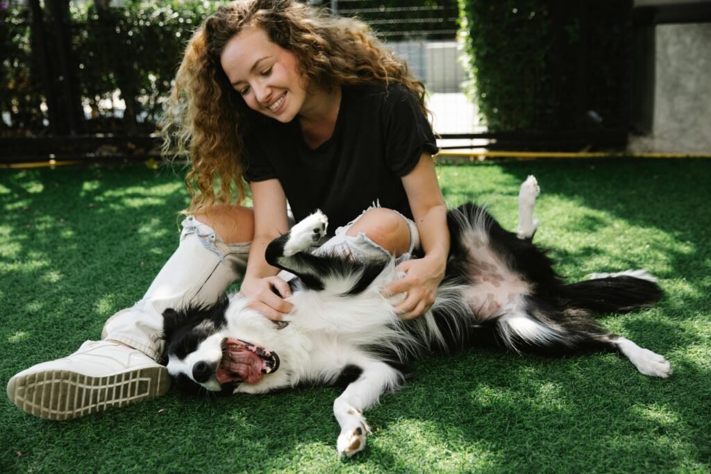 
 cães e gatos observados pelo tutor em casa