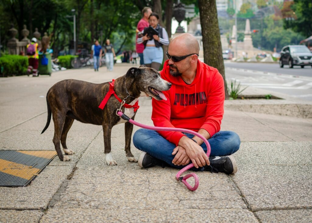 omo observar sinais de alerta no dia a dia do pet