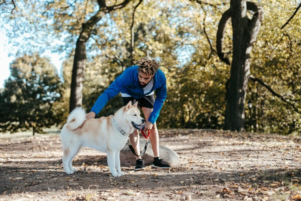 inspeção de pele em cachorro com suspeita de coceiras
