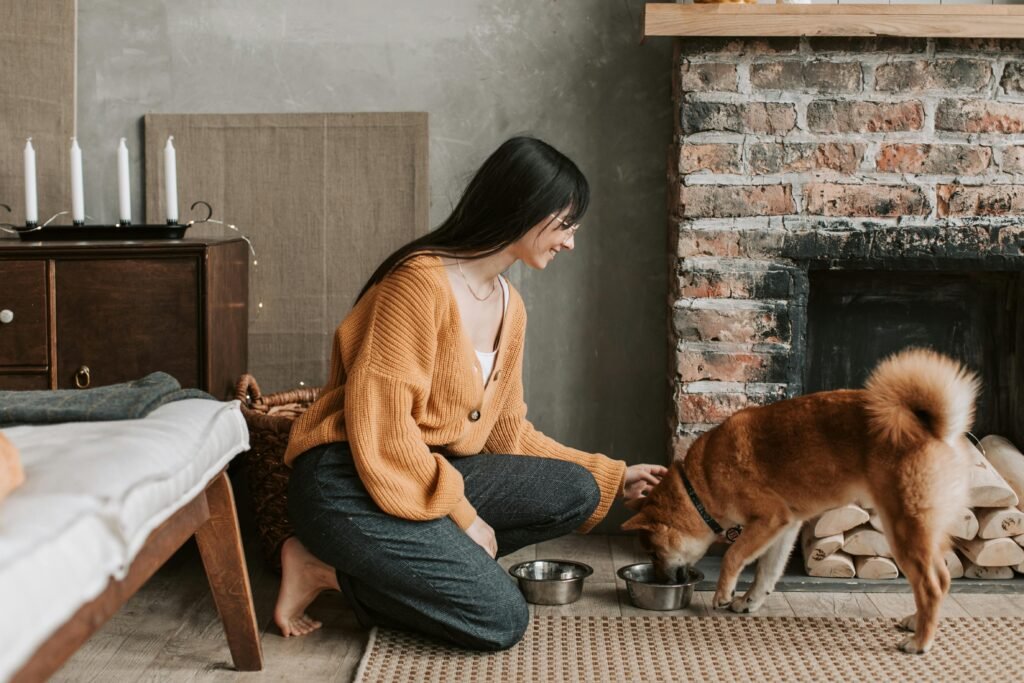 cuidados com a saúde digestiva do pet no dia a dia