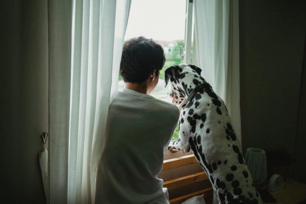 cachorro espirrando por irritação no ambiente