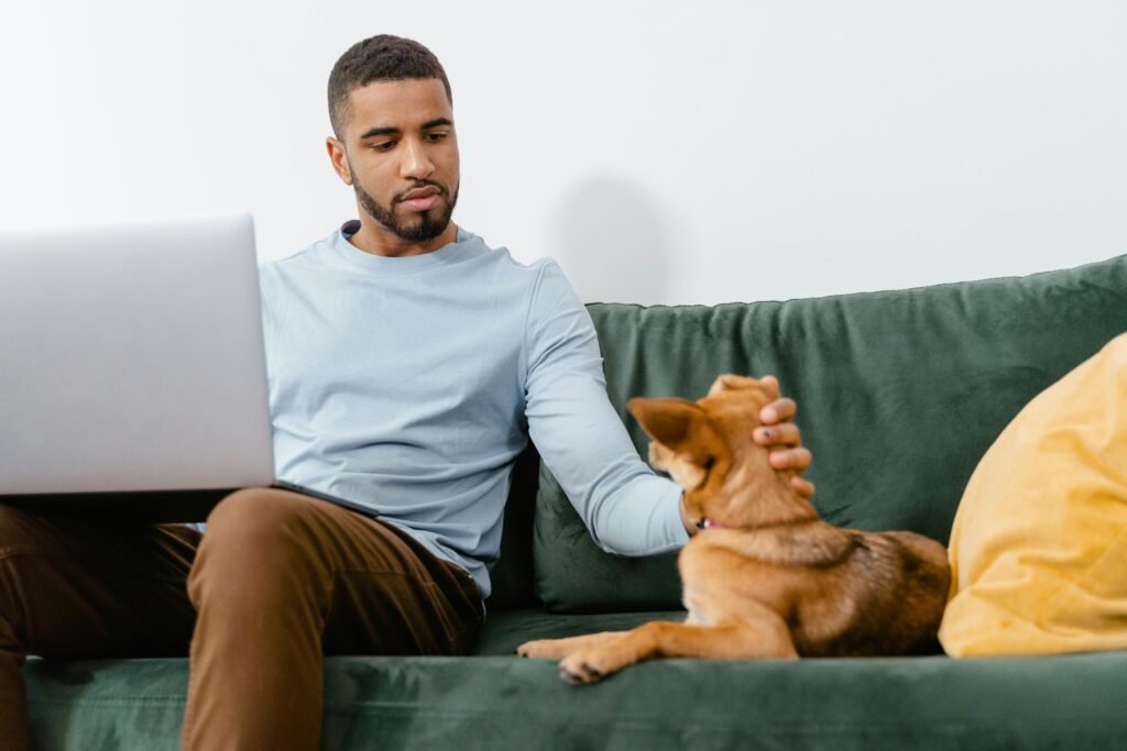 sintomas respiratórios em cães e gatos observados pelo tutor